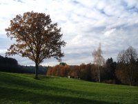Photo 053